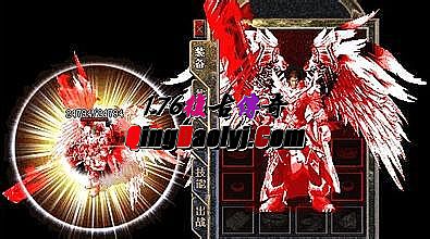 ������ʧ�汾������վ