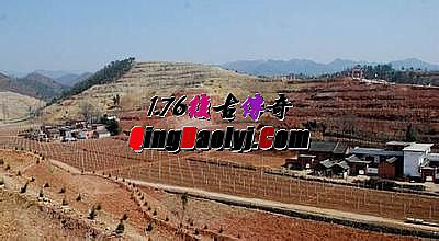 ��Ѫ�����ֻ����ƽ��