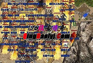��紫��1.76����